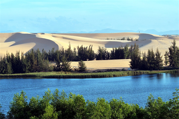 Bàu Trắng – Bàu Sen4